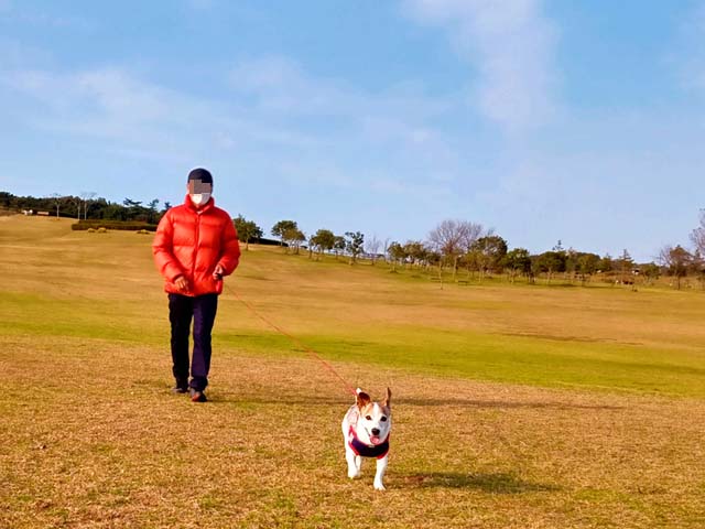 f:id:katekobe:20201219075340j:plain
