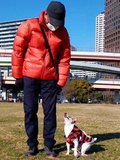 f:id:katekobe:20210104072519j:plain
