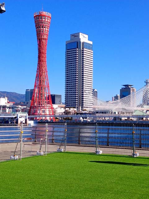 f:id:katekobe:20210111075540j:plain