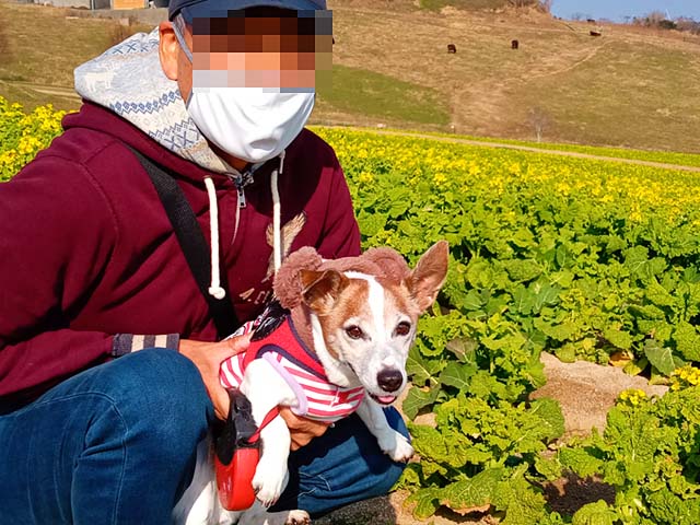 f:id:katekobe:20210210065257j:plain