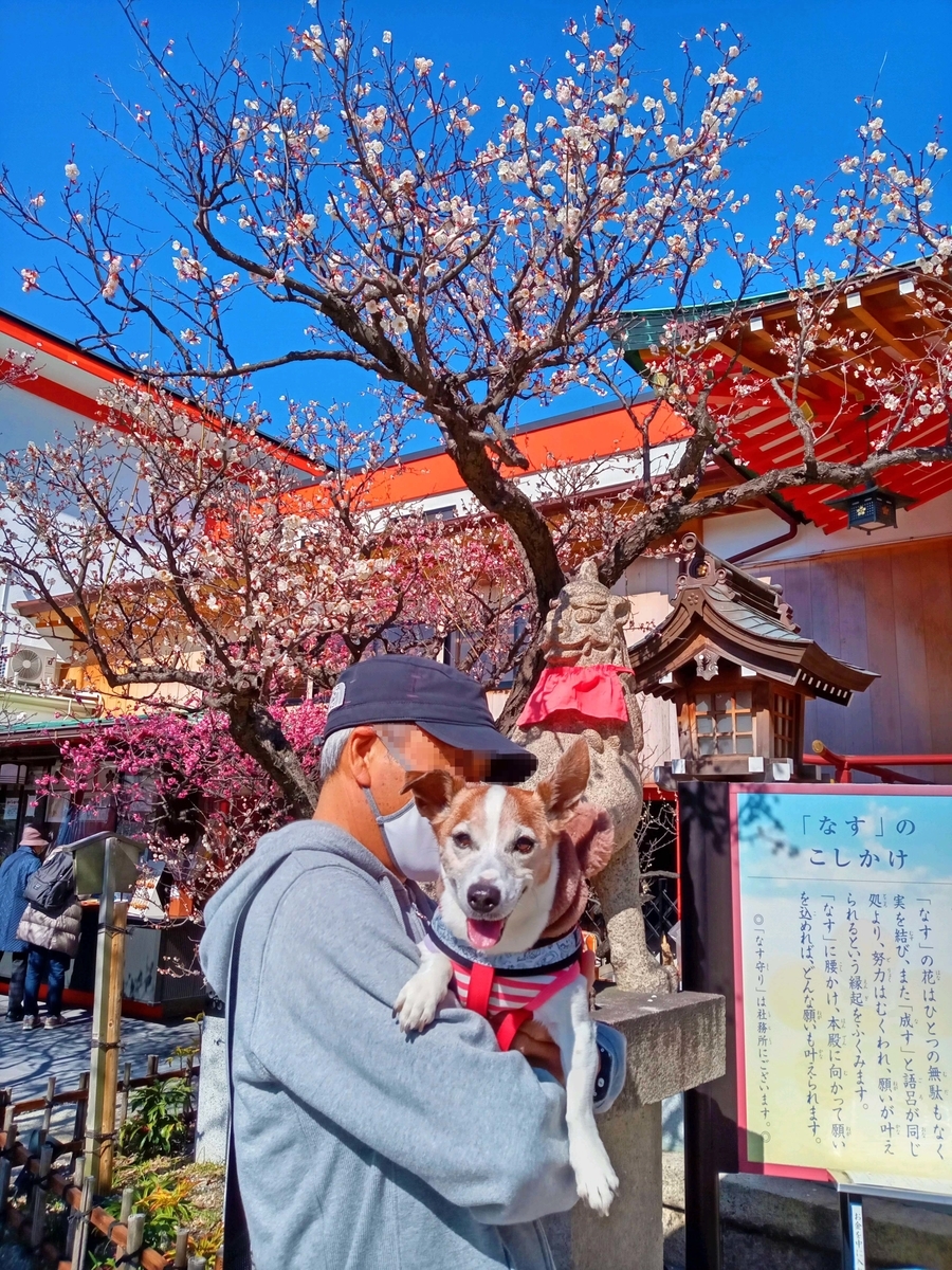 f:id:katekobe:20210226081250j:plain