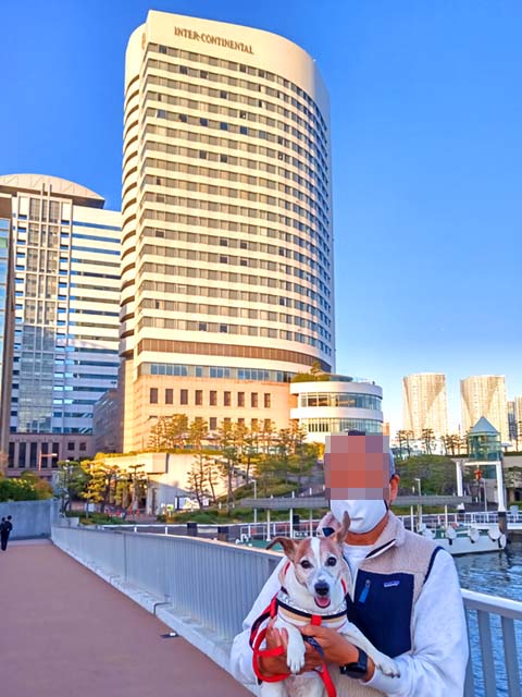 f:id:katekobe:20210318080052j:plain