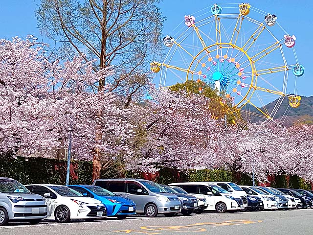 f:id:katekobe:20210331075958j:plain
