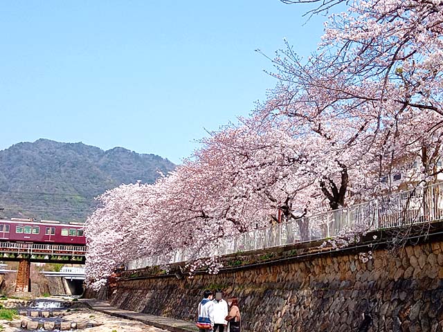 f:id:katekobe:20210331080627j:plain