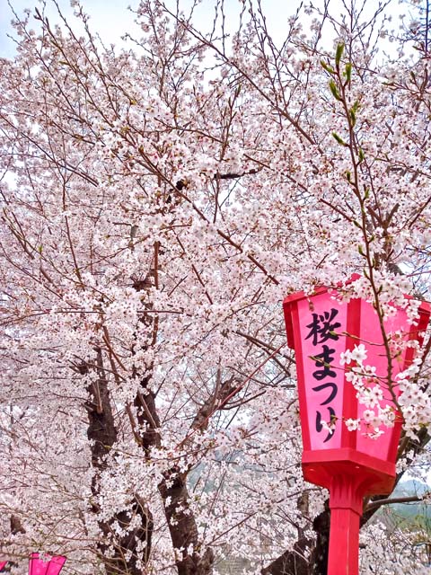 f:id:katekobe:20210402075109j:plain