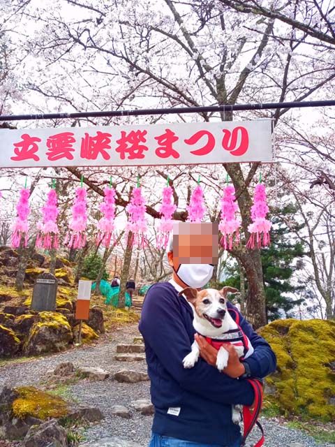 f:id:katekobe:20210402075839j:plain