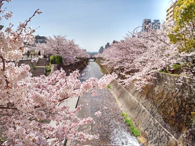 f:id:katekobe:20210405083903j:plain