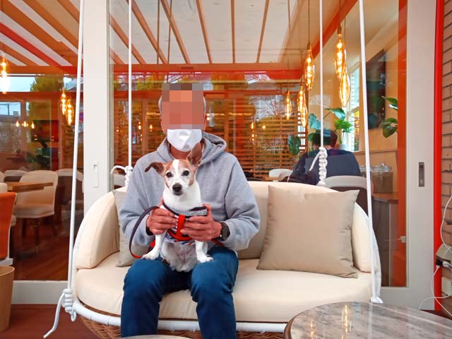 f:id:katekobe:20210409073208j:plain
