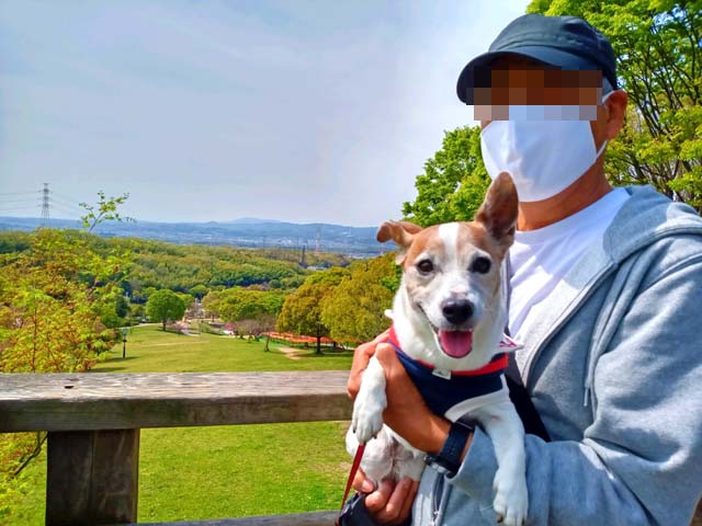 f:id:katekobe:20210410075728j:plain