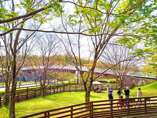 f:id:katekobe:20210410081927j:plain