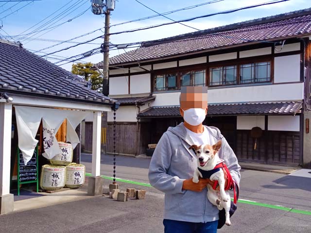 f:id:katekobe:20210411073553j:plain