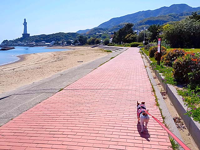 f:id:katekobe:20210421070914j:plain