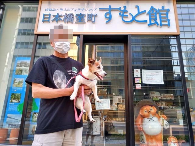 f:id:katekobe:20210616073405j:plain