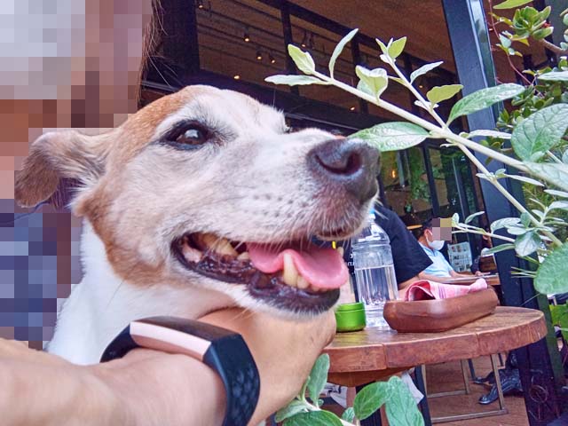 f:id:katekobe:20210618102540j:plain