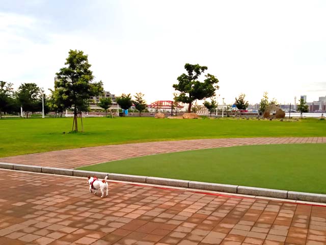 f:id:katekobe:20210903080340j:plain