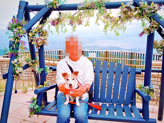 f:id:katekobe:20210913065105j:plain