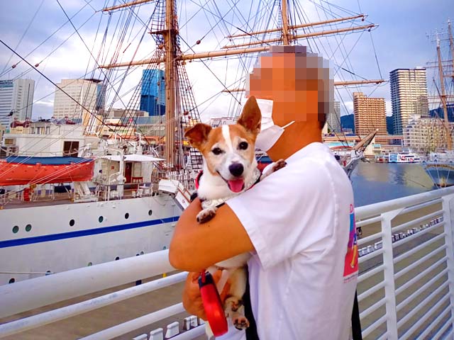 f:id:katekobe:20210916051217j:plain