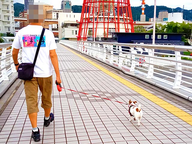f:id:katekobe:20210916051614j:plain