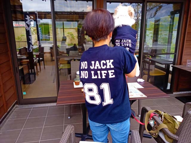 f:id:katekobe:20211004104805j:plain