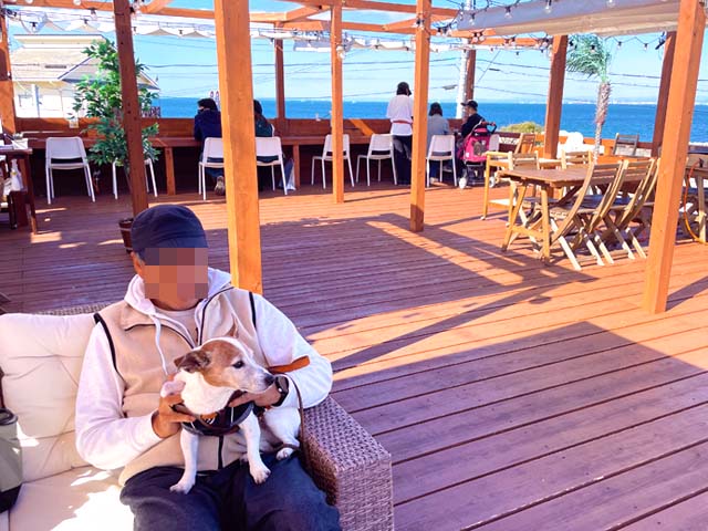 f:id:katekobe:20211118072058j:plain