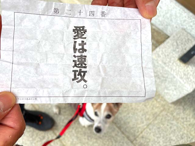 f:id:katekobe:20220112063326j:plain