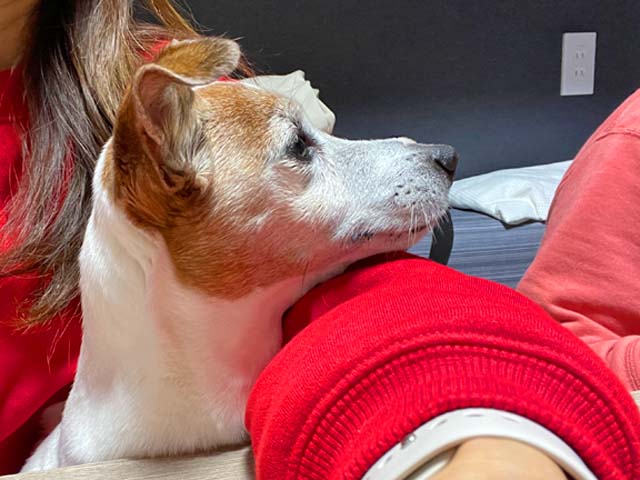 f:id:katekobe:20220121074532j:plain