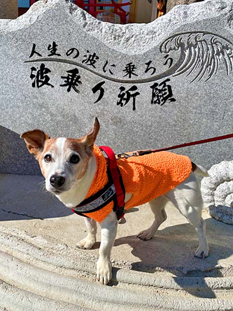f:id:katekobe:20220303060935j:plain