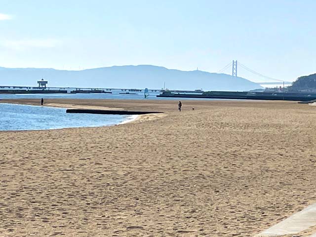 f:id:katekobe:20220305071634j:plain