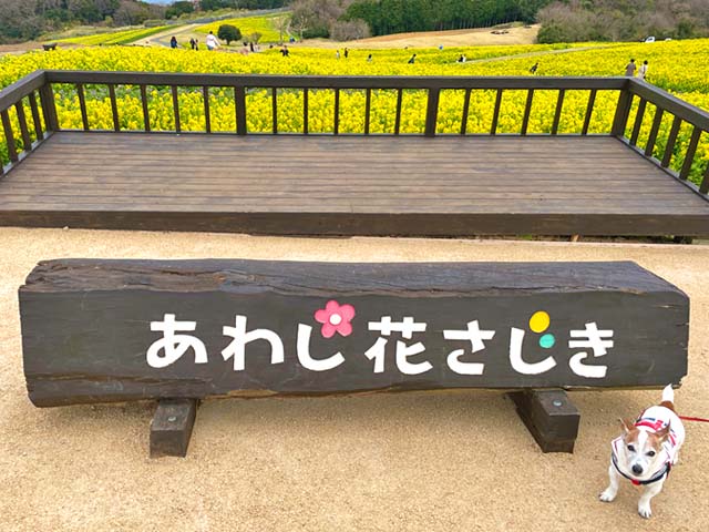 f:id:katekobe:20220404085645j:plain