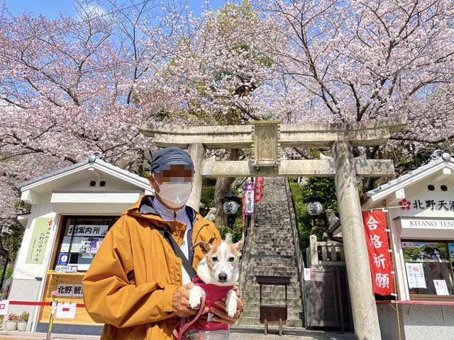 f:id:katekobe:20220407070911j:plain