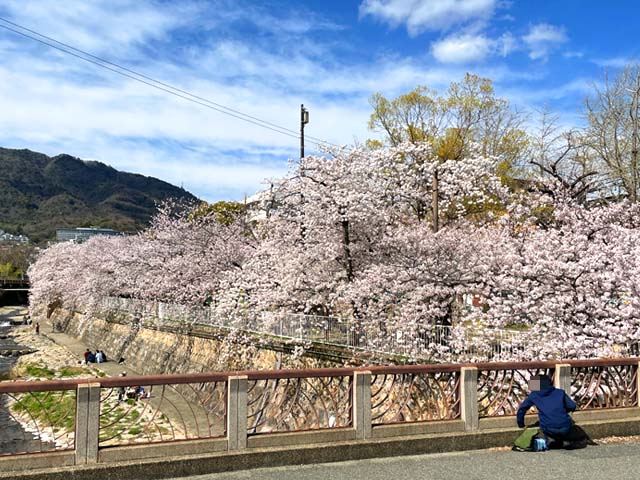 f:id:katekobe:20220410061305j:plain