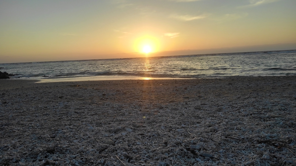 f:id:katmin5z:20181106183939j:plain f:id:katmin5z:20181106183939j:plain