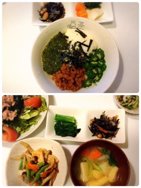 f:id:kato0529thanks:20170303213800j:plain