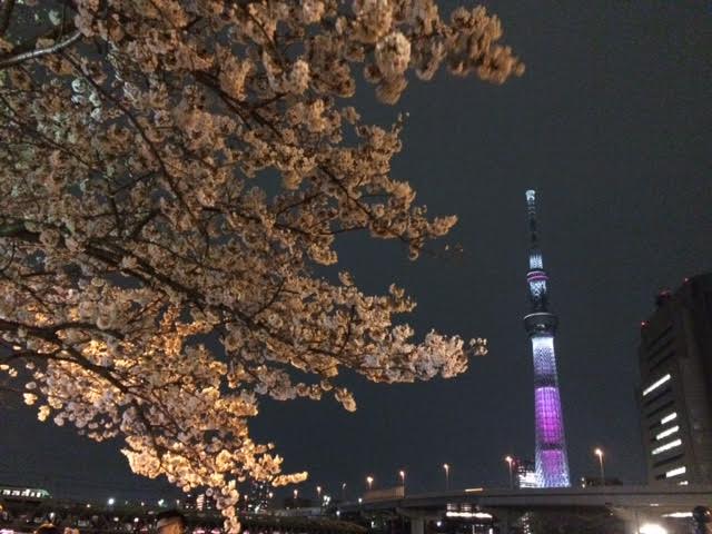 f:id:kato0529thanks:20170407142917j:plain f:id:kato0529thanks:20170407142917j:plain