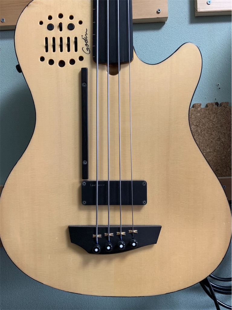Godin A4 Ultra フレットレスベース - ちょっとマニアなブログ
