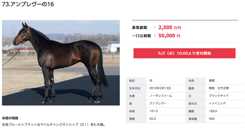 一口馬主ネタ 17年度 シルクｈｃ 第2回追加募集馬 カトックの競馬だって継続は力なり