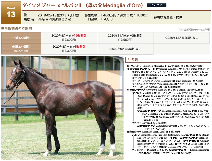 一口馬主 ターファイトクラブ19年1歳馬を追加 カトックの競馬だって継続は力なり