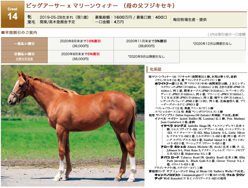 一口馬主 ターファイトクラブ19年1歳馬を追加 カトックの競馬だって継続は力なり