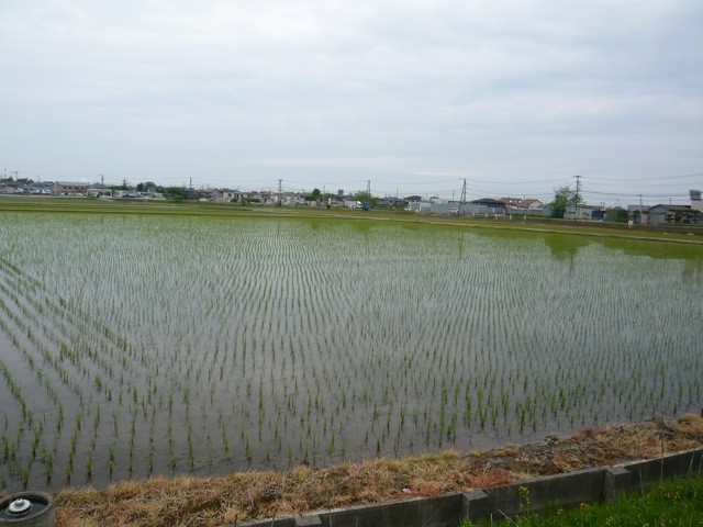 f:id:katokitiz:20100519112534j:image