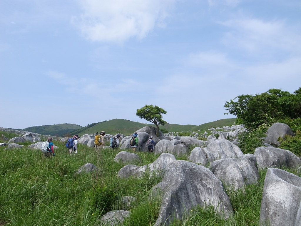 f:id:katomoji:20180607155842j:plain f:id:katomoji:20180607155842j:plain
