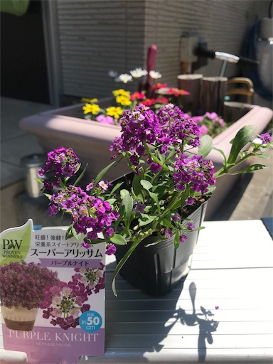 f:id:katoo0720:20190419140144j:image
