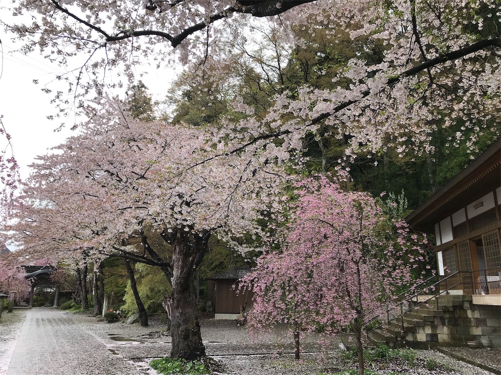 f:id:katoreen101:20190506174548j:image f:id:katoreen101:20190506174548j:image