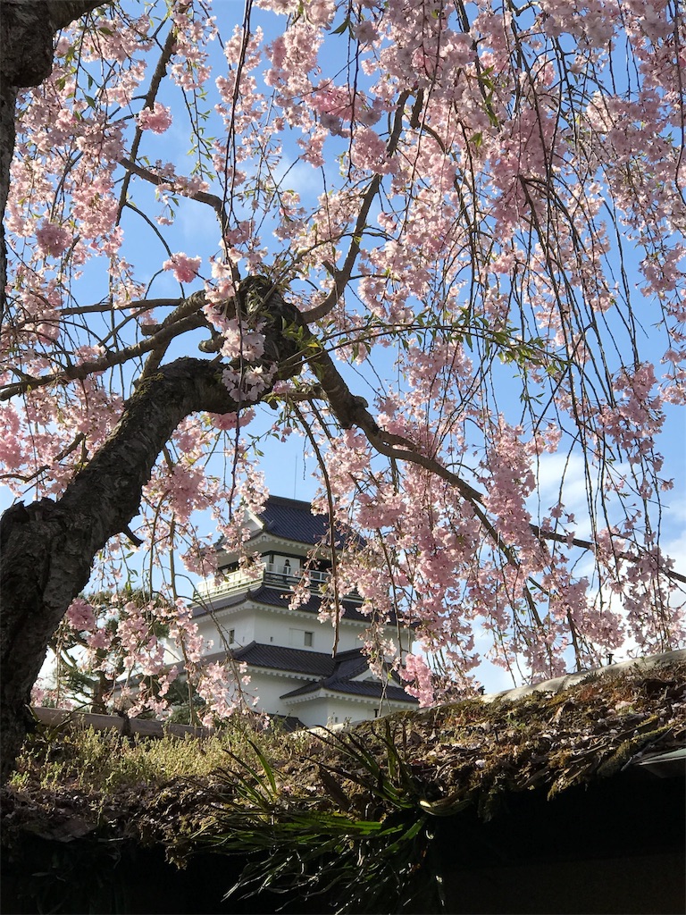 f:id:katoreen101:20190506180700j:image f:id:katoreen101:20190506180700j:image