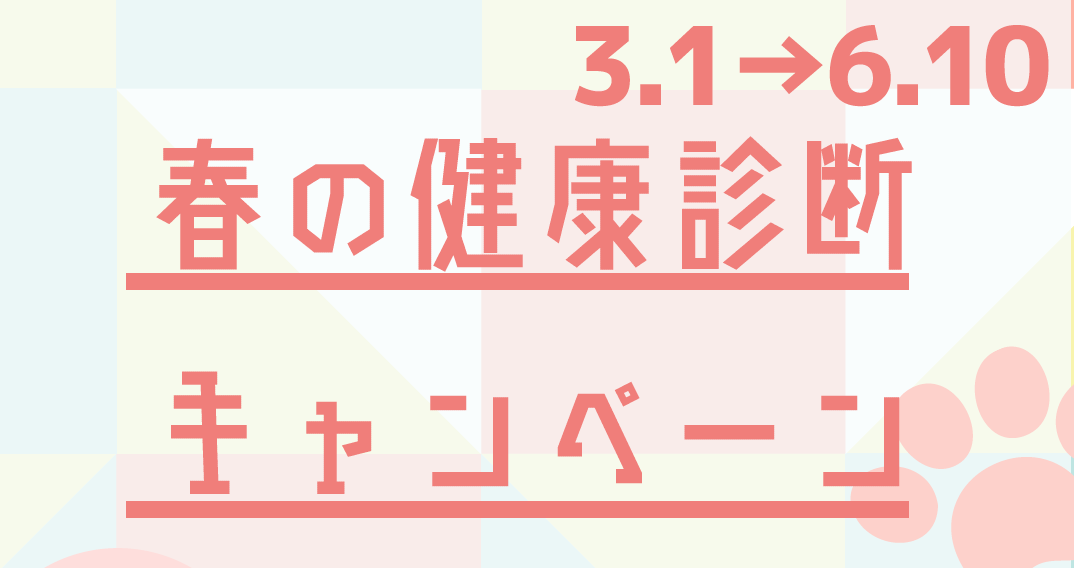 f:id:katori-ah:20210227215729p:plain