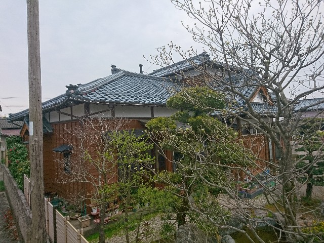 f:id:katoributa-sn:20190425221131j:image f:id:katoributa-sn:20190425221131j:image