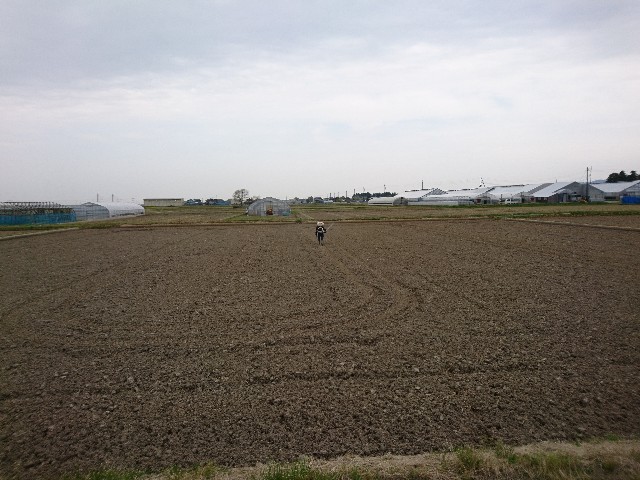 f:id:katoributa-sn:20190425224340j:image f:id:katoributa-sn:20190425224340j:image