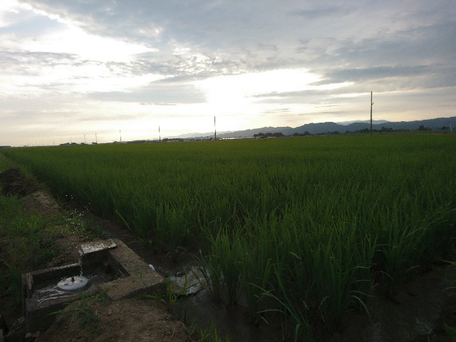 f:id:katoributa-sn:20190825094843j:image f:id:katoributa-sn:20190825094843j:image