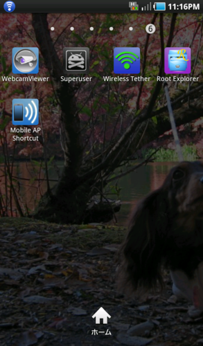 f:id:katoyan2009:20110410233801p:image:right