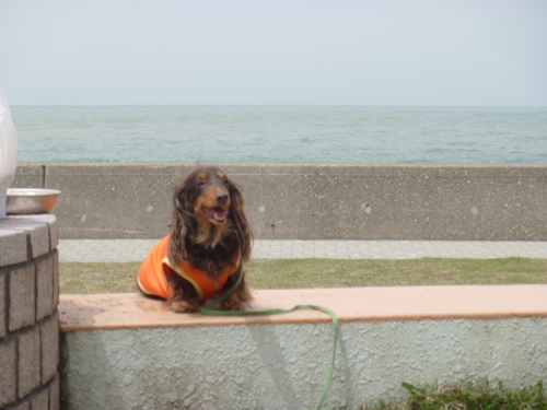 f:id:katoyan2009:20110502120613j:image:w360