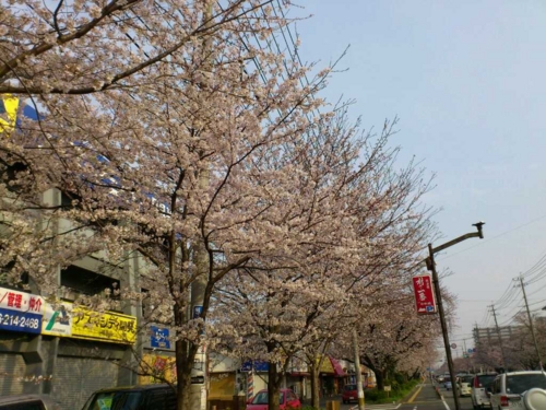 f:id:katsu_f:20120330123833j:image f:id:katsu_f:20120330123833j:image